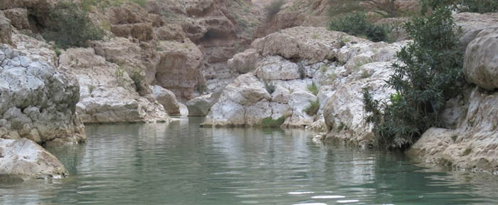 Oman’s Tranquil Wadis: The Hidden Oasis