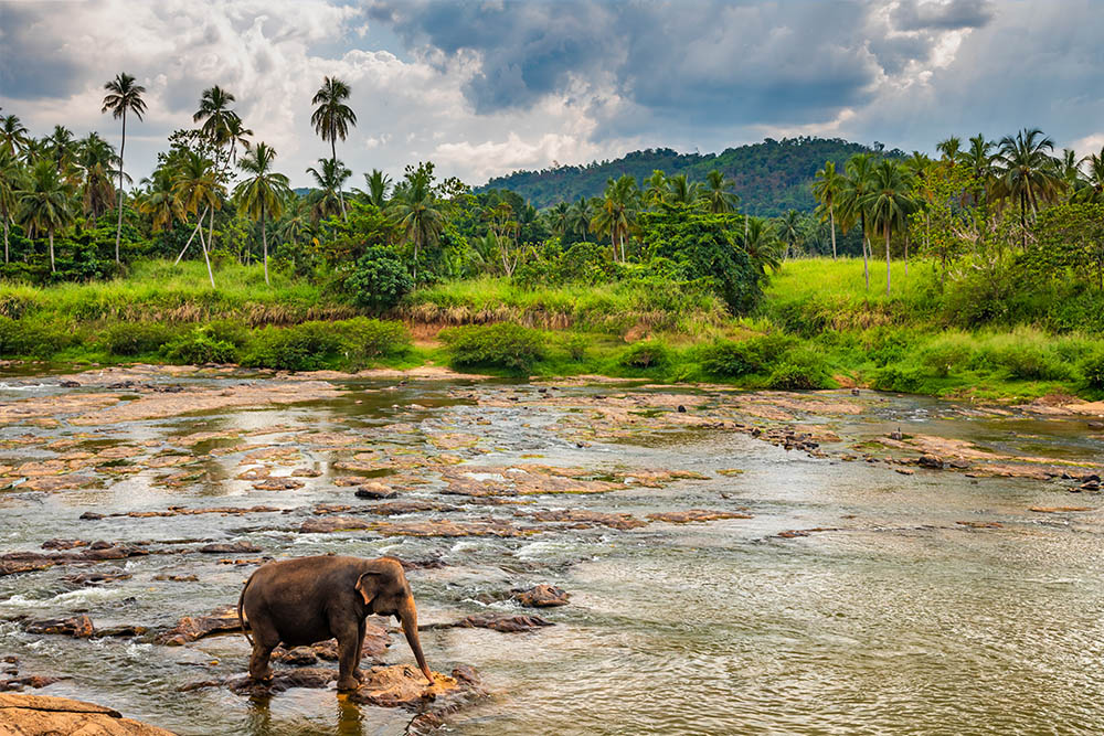 Sri Lanka