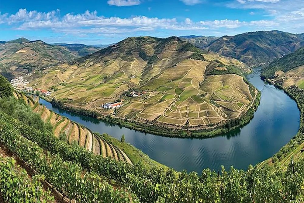 Douro River Cruise of Portugal